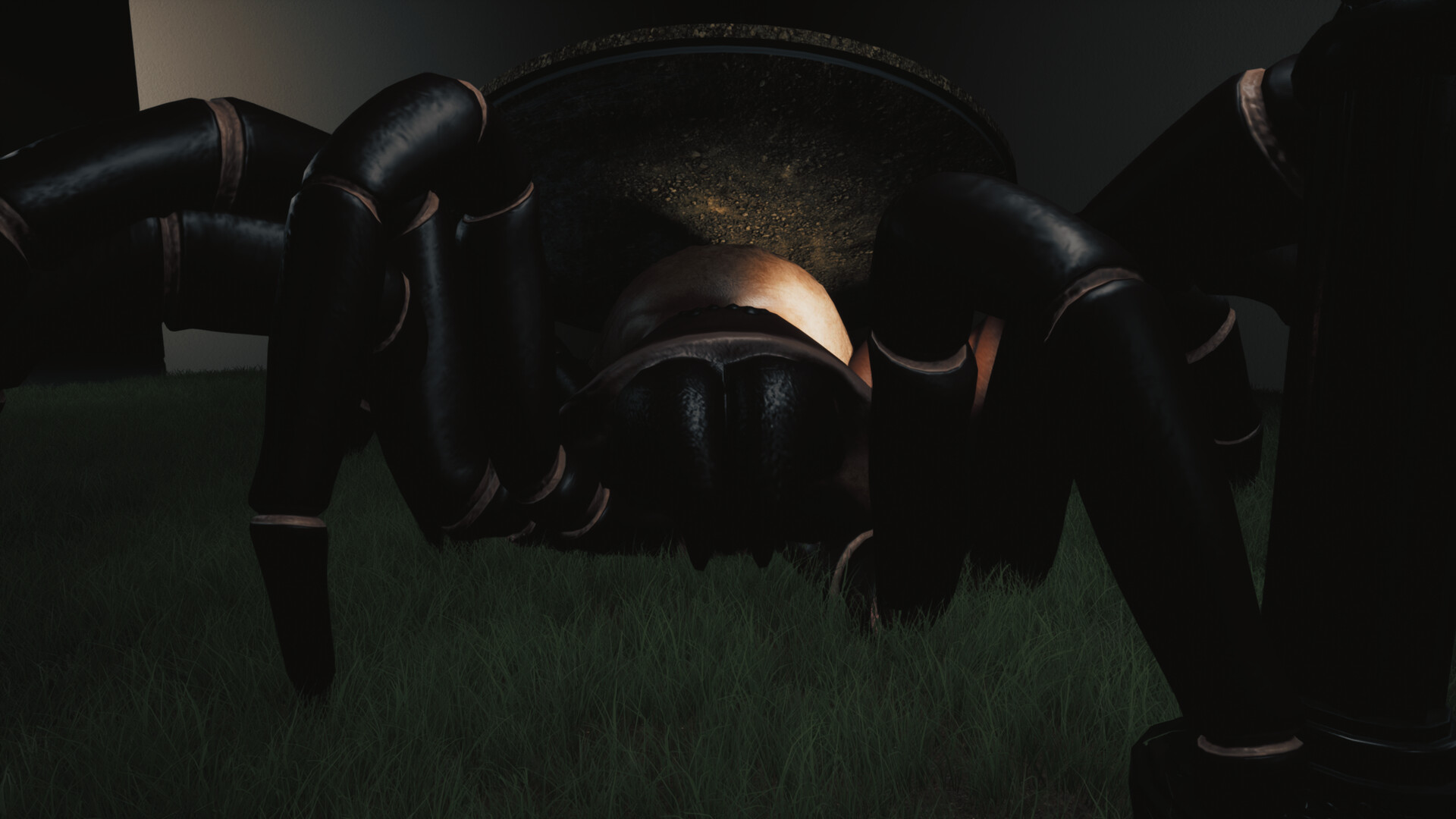 巨蛛猎手/Huntsman-财经探 | 免费网创项目与资源大全