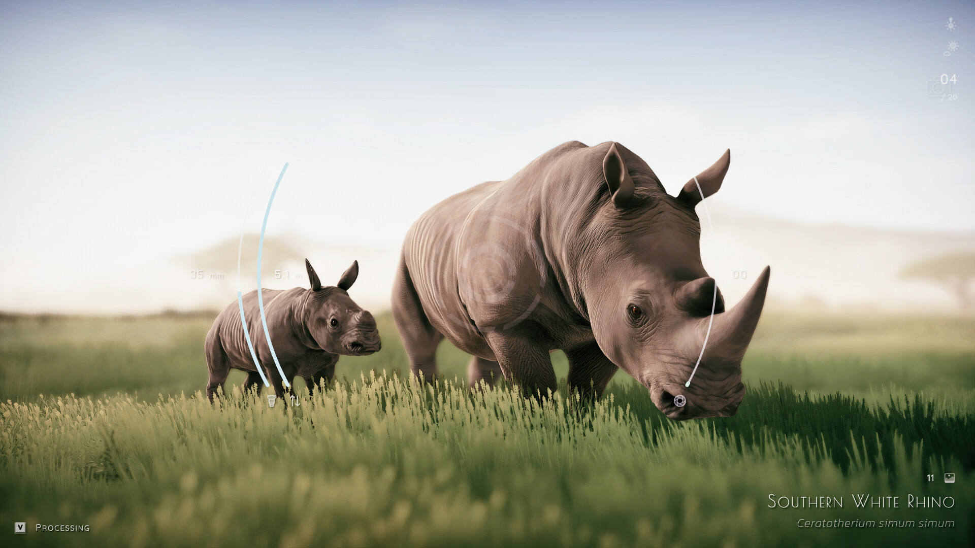 幽居之境/Seclusa-财经探 | 免费网创项目与资源大全