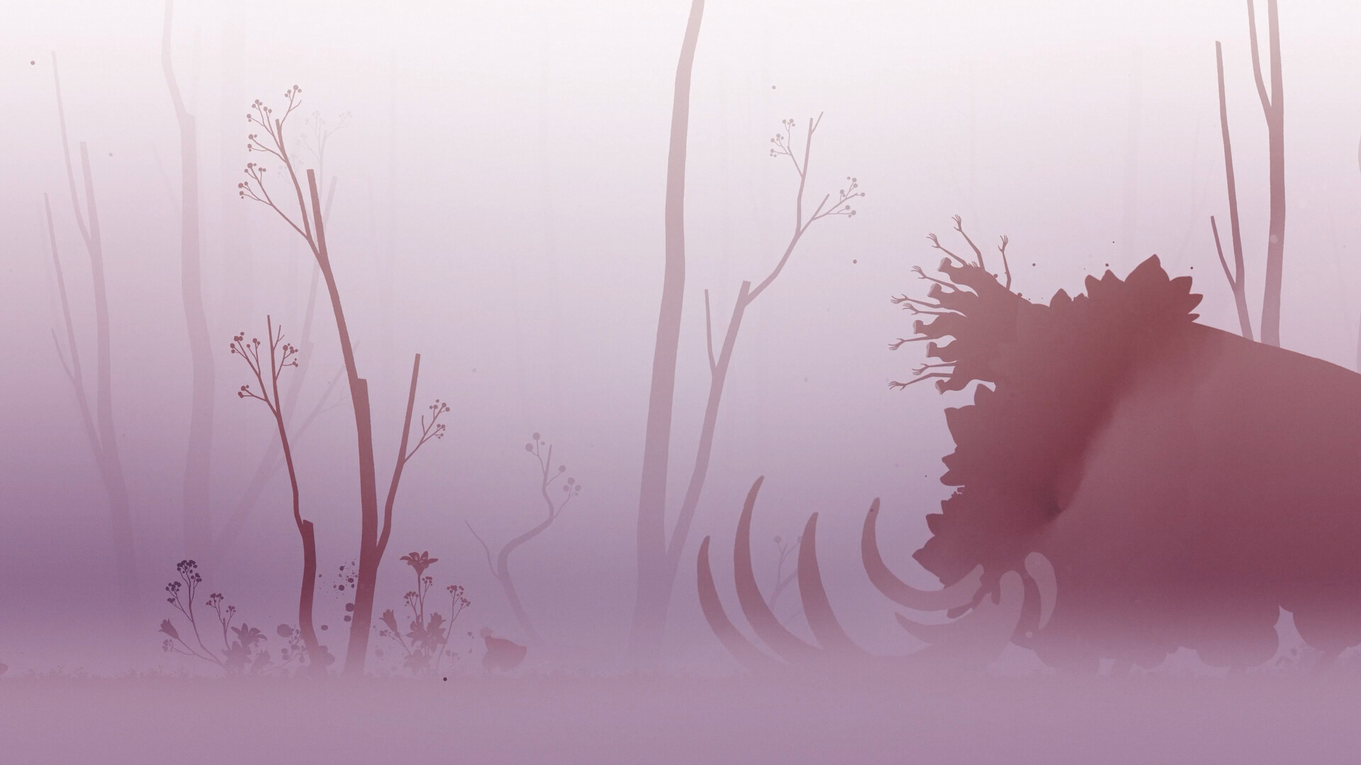 涅瓦/Neva-财经探 | 免费网创项目与资源大全