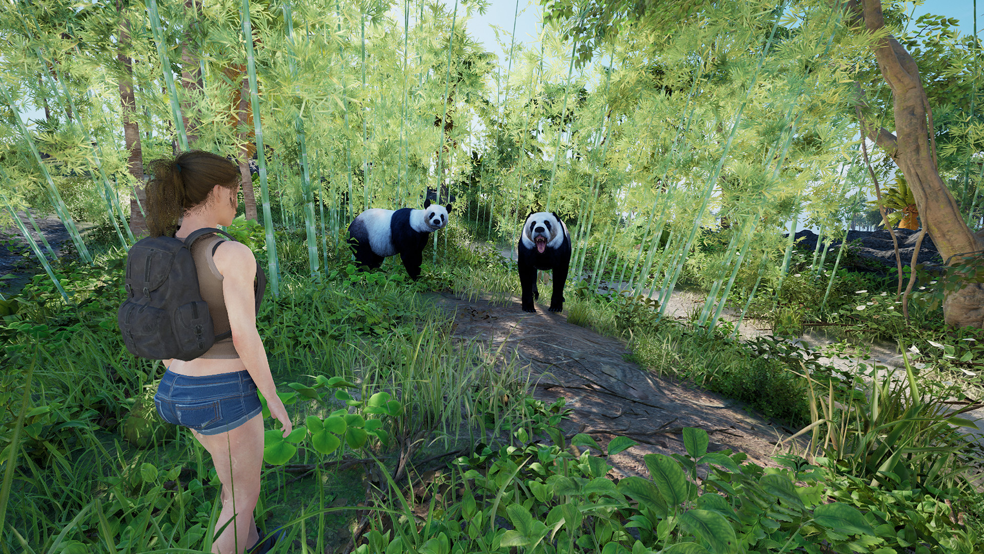 伊甸岛/Eden Island-财经探 | 免费网创项目与资源大全