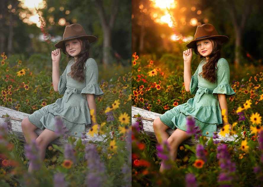 （17403期）大师级GTG出品-老友记系列AI自适应预设The Friends Preset Collection-财经探 | 免费网创项目与资源大全